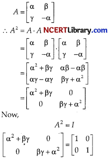 CBSE Sample Papers for Class 12 Applied Mathematics Set 9 with Solutions img-14