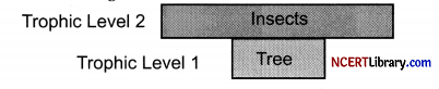 CBSE Sample Papers for Class 12 Biology Set 1 with Solutions Q 21.1