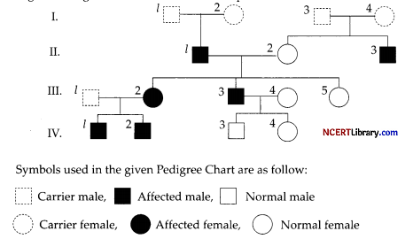 CBSE Sample Papers for Class 12 Biology Set 1 with Solutions Q 29