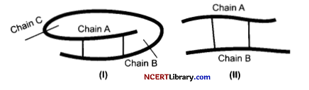 CBSE Sample Papers for Class 12 Biology Set 2 with Solutions Q20