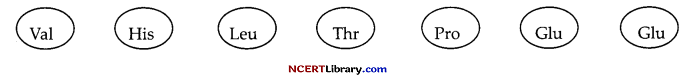 CBSE Sample Papers for Class 12 Biology Set 2 with Solutions Q32.2