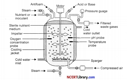 CBSE Sample Papers for Class 12 Biology Set 3 with Solutions Q20