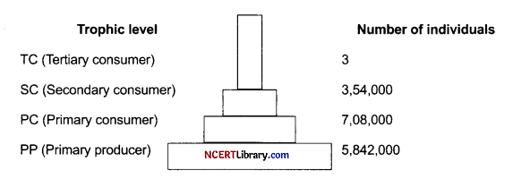 CBSE Sample Papers for Class 12 Biology Set 3 with Solutions Q21.1