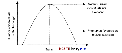 CBSE Sample Papers for Class 12 Biology Set 3 with Solutions Q32.1