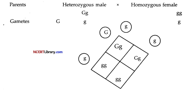CBSE Sample Papers for Class 12 Biology Set 4 with Solutions Q18