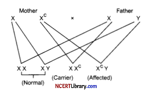 CBSE Sample Papers for Class 12 Biology Set 4 with Solutions Q26.1
