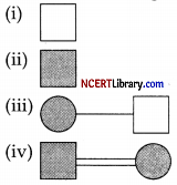 CBSE Sample Papers for Class 12 Biology Set 5 with Solutions Q 19