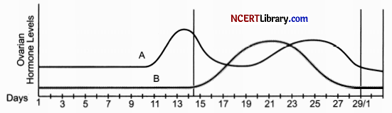 CBSE Sample Papers for Class 12 Biology Set 5 with Solutions Q 31
