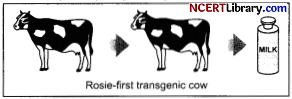 CBSE Sample Papers for Class 12 Biology Set 7 with Solutions Q18