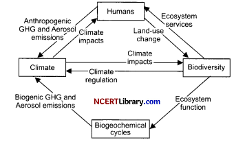 CBSE Sample Papers for Class 12 Biology Set 7 with Solutions Q17