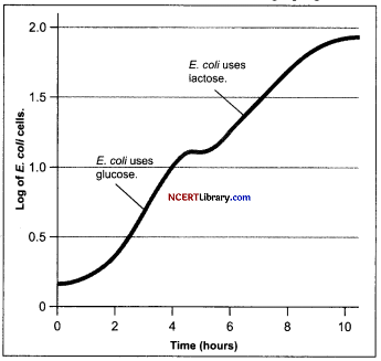 CBSE Sample Papers for Class 12 Biology Set 7 with Solutions Q8