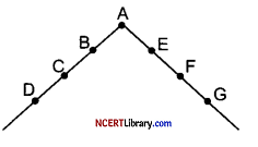 CBSE Sample Papers for Class 12 Business Studies Set 4 with Solutions Q 31