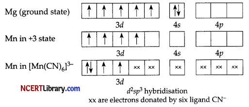 CBSE Sample Papers for Class 12 Chemistry Set 1 with Solutions 11
