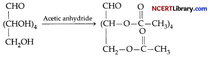 CBSE Sample Papers for Class 12 Chemistry Set 1 with Solutions 6