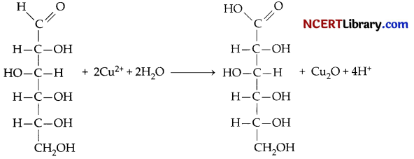 CBSE Sample Papers for Class 12 Chemistry Set 1 with Solutions 7