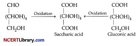 CBSE Sample Papers for Class 12 Chemistry Set 1 with Solutions 9