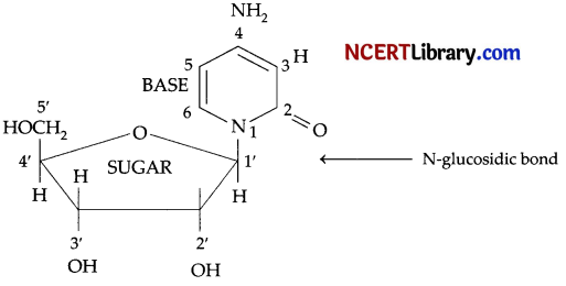CBSE Sample Papers for Class 12 Chemistry Set 2 with Solutions 16