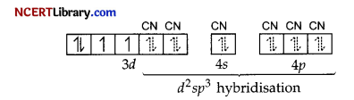 CBSE Sample Papers for Class 12 Chemistry Set 2 with Solutions 28