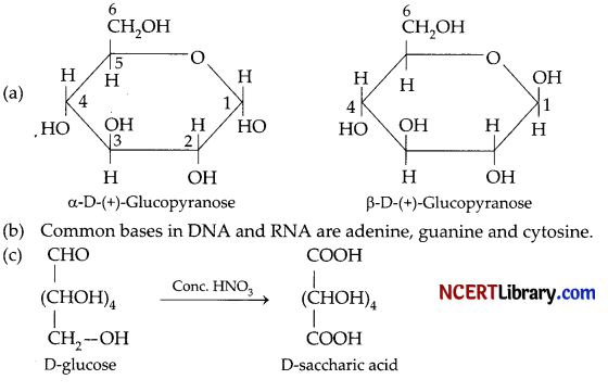 CBSE Sample Papers for Class 12 Chemistry Set 3 with Solutions 16