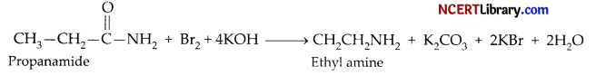 CBSE Sample Papers for Class 12 Chemistry Set 3 with Solutions 19