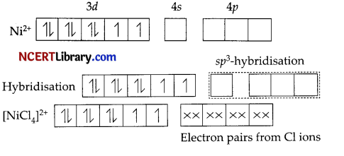 CBSE Sample Papers for Class 12 Chemistry Set 3 with Solutions 31