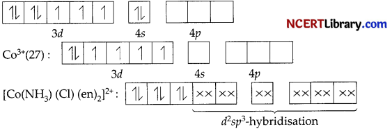 CBSE Sample Papers for Class 12 Chemistry Set 3 with Solutions 33