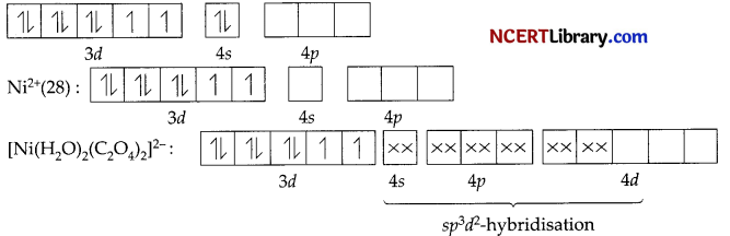 CBSE Sample Papers for Class 12 Chemistry Set 3 with Solutions 34