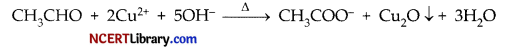 CBSE Sample Papers for Class 12 Chemistry Set 3 with Solutions 7