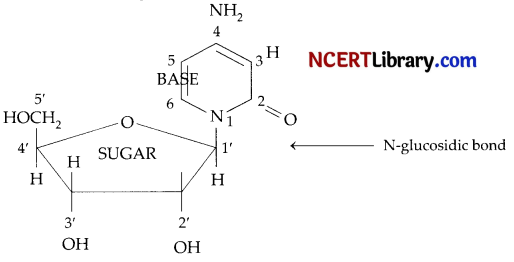 CBSE Sample Papers for Class 12 Chemistry Set 4 with Solutions 10