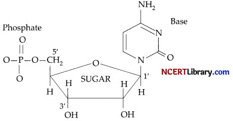 CBSE Sample Papers for Class 12 Chemistry Set 4 with Solutions 11