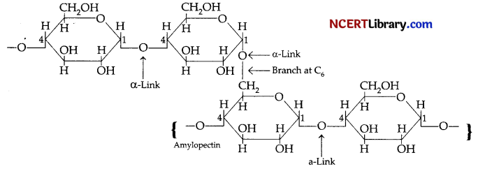 CBSE Sample Papers for Class 12 Chemistry Set 5 with Solutions 35