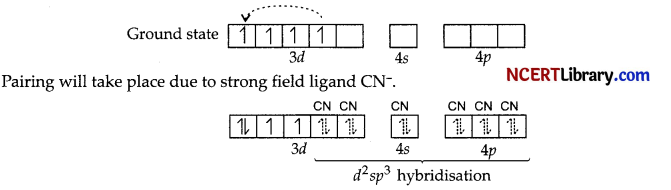CBSE Sample Papers for Class 12 Chemistry Set 5 with Solutions 48