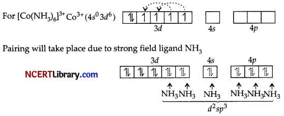 CBSE Sample Papers for Class 12 Chemistry Set 5 with Solutions 49