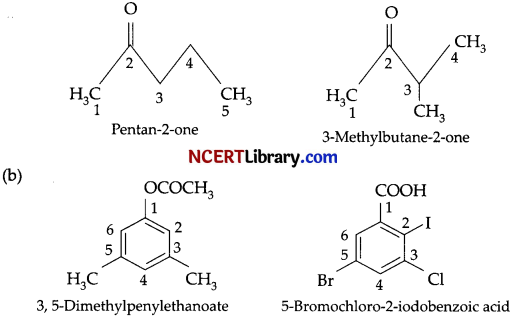 CBSE Sample Papers for Class 12 Chemistry Set 6 with Solutions 30