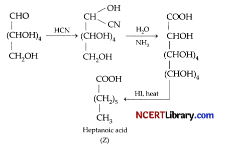 CBSE Sample Papers for Class 12 Chemistry Set 6 with Solutions 6