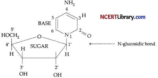 CBSE Sample Papers for Class 12 Chemistry Set 7 with Solutions 12