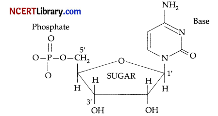 CBSE Sample Papers for Class 12 Chemistry Set 7 with Solutions 13