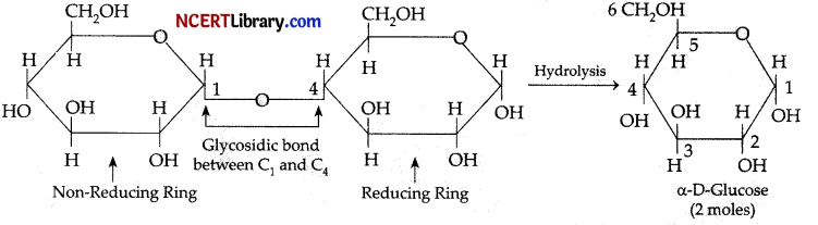 CBSE Sample Papers for Class 12 Chemistry Set 7 with Solutions 2