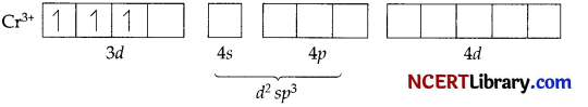 CBSE Sample Papers for Class 12 Chemistry Set 7 with Solutions 24