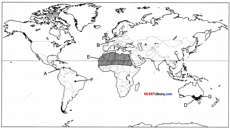 CBSE Sample Papers for Class 12 Geography Set 1 with Solutions 29