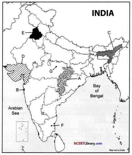 CBSE Sample Papers for Class 12 Geography Set 2 with Solutions 2