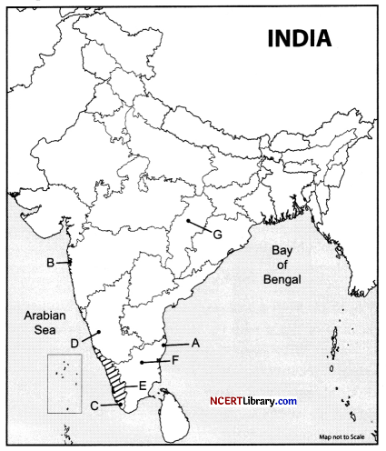 CBSE Sample Papers for Class 12 Geography Set 3 with Solutions 2