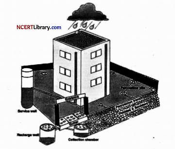 CBSE Sample Papers for Class 12 Geography Set 6 with Solutions 19
