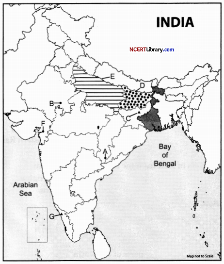 CBSE Sample Papers for Class 12 Geography Set 6 with Solutions 30