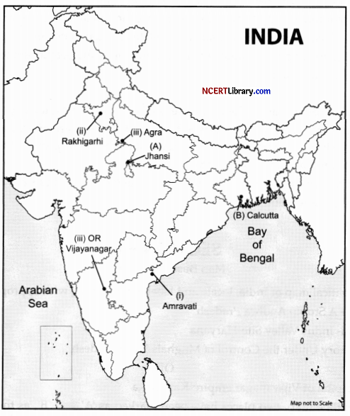 CBSE Sample Papers for Class 12 History Set 1 with Solutions 34.2 (2)