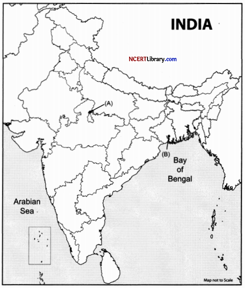 CBSE Sample Papers for Class 12 History Set 1 with Solutions 34.2