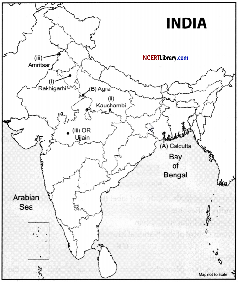 CBSE Sample Papers for Class 12 History Set 3 with Solutions 34.2