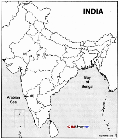CBSE Sample Papers for Class 12 History Set 4 with Solutions 1