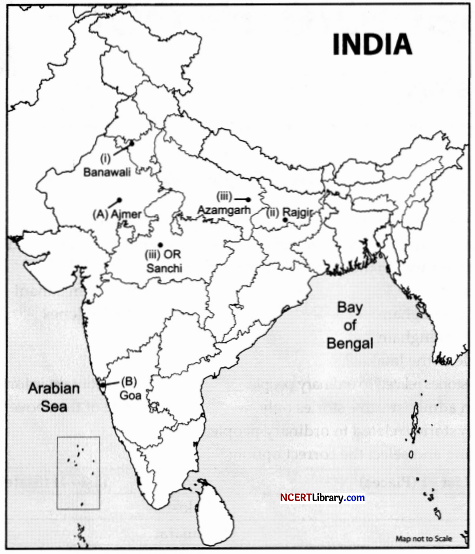 CBSE Sample Papers for Class 12 History Set 4 with Solutions 2
