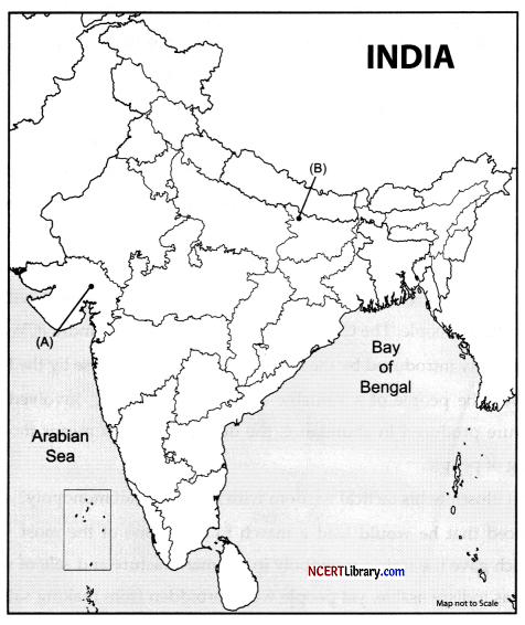CBSE Sample Papers for Class 12 History Set 5 with Solutions 1